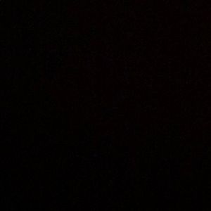 Meet your Posher, Wynter